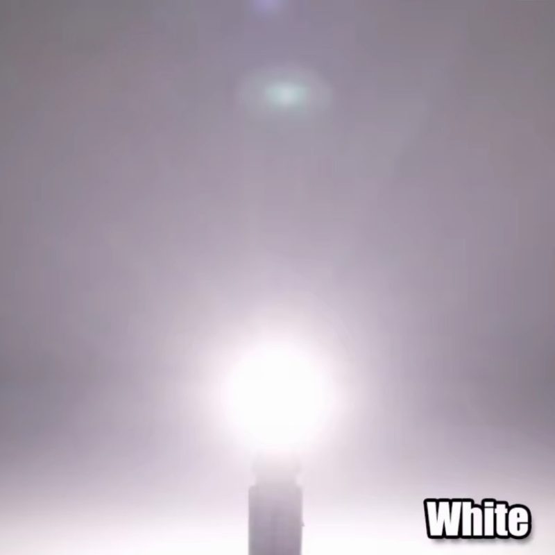 T10 LED Bulb